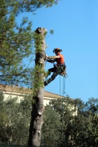 Actualités 2 work 1861734