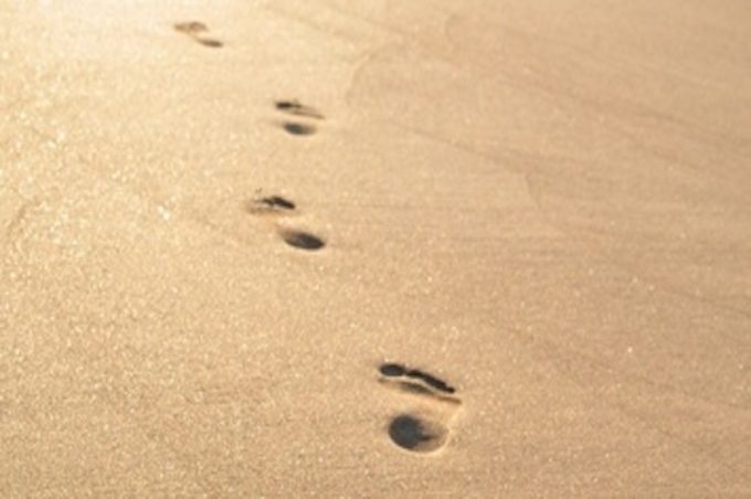 conseiller immobilier